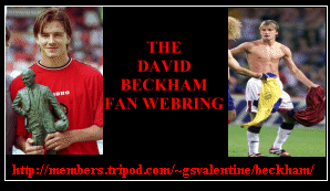 The David Beckham Fan Webring